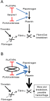 FIG 6