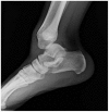 Figure 10.