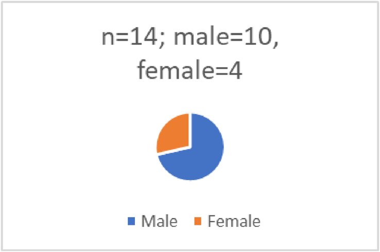 Fig. 9