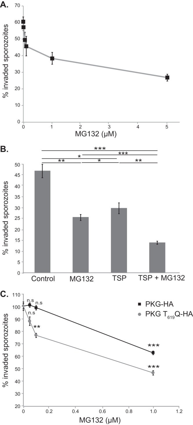 FIG 2