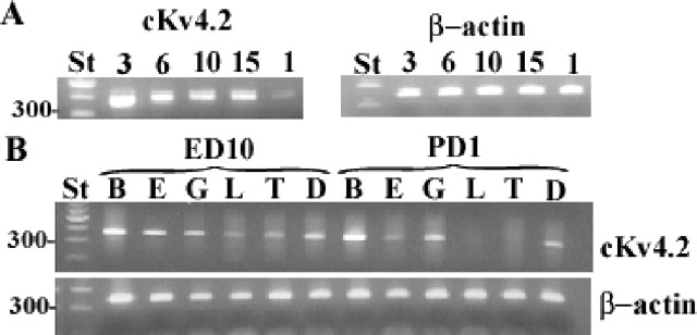 
Figure 9.
