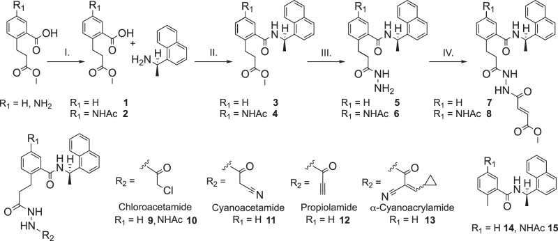 Fig. 4