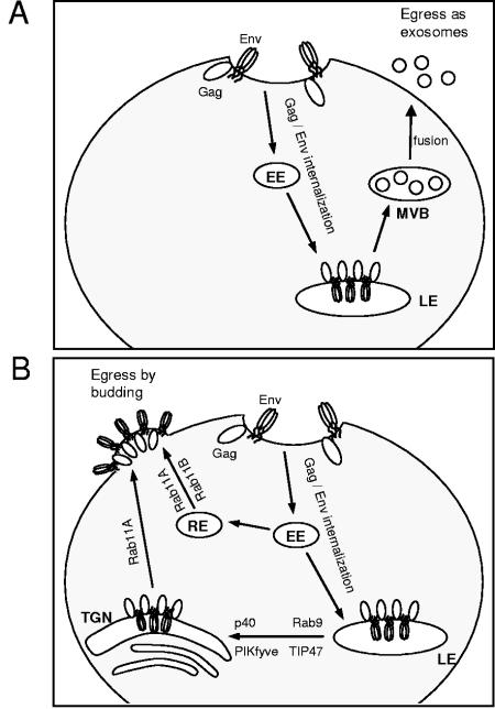 FIG. 6.