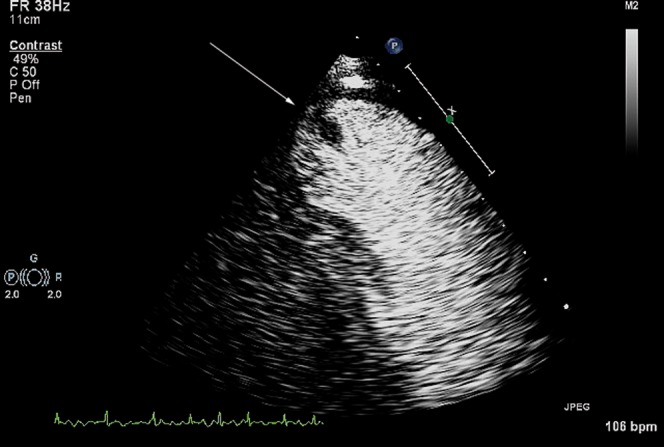Figure 8