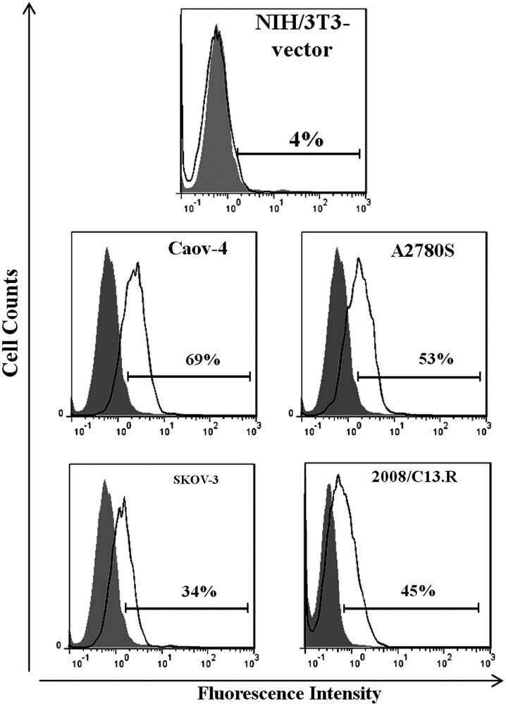 FIG. 4.