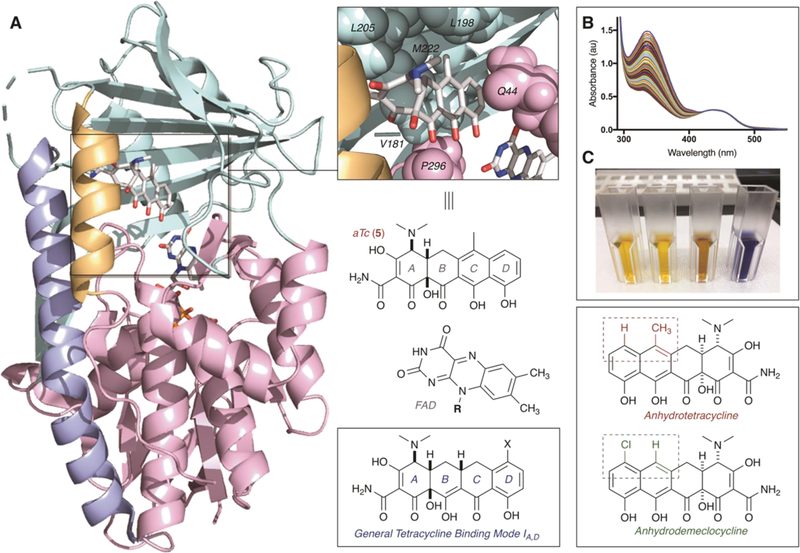 Figure 10.