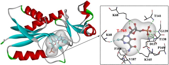 Fig. 20