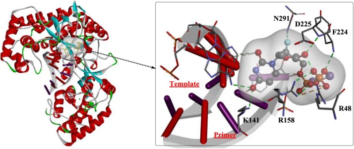 Fig. 21