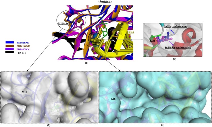 Fig. 19