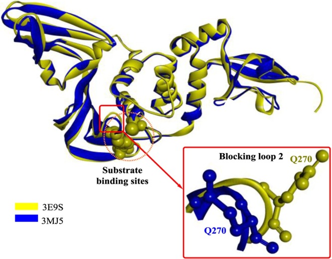 Fig. 6