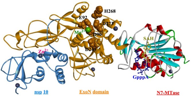 Fig. 22