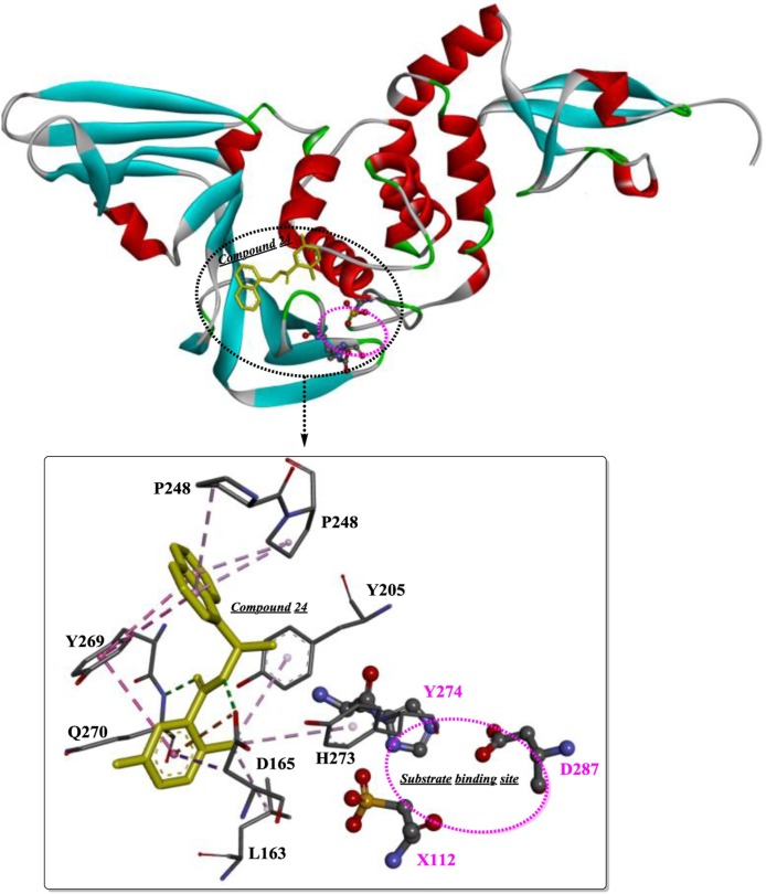 Fig. 10