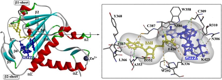 Fig. 23