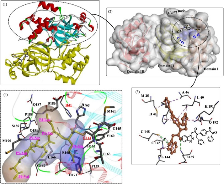 Fig. 1