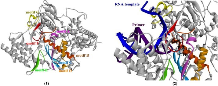 Fig. 14