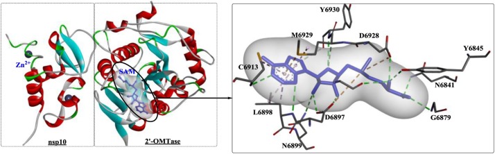 Fig. 24