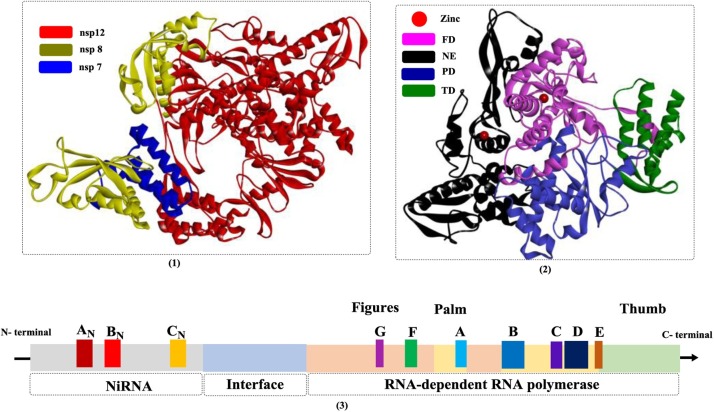 Fig. 13