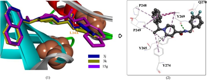 Fig. 12