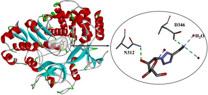 Fig. 17