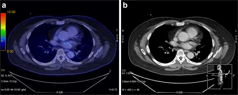 Fig. 8