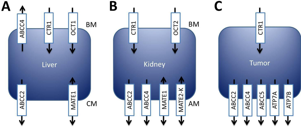 Fig 2