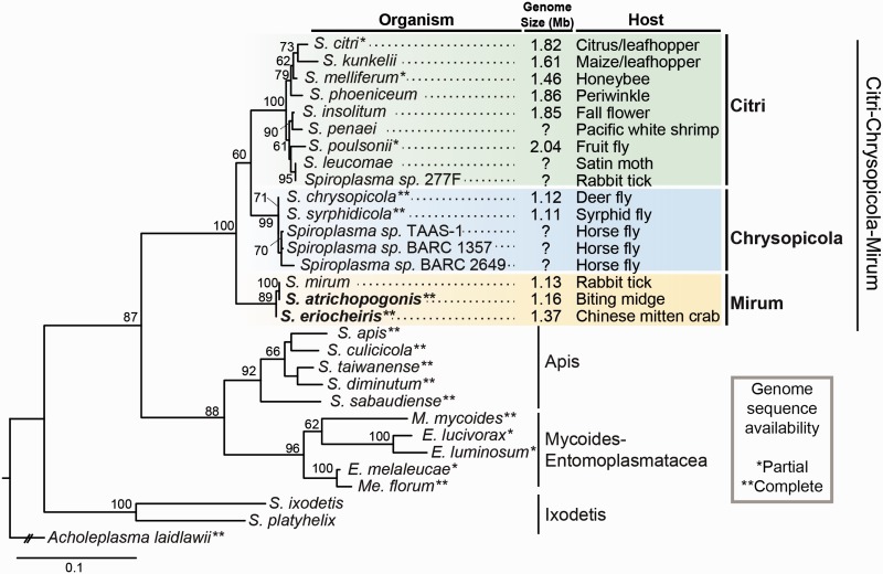 Fig. 1.—