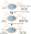 FIG 1