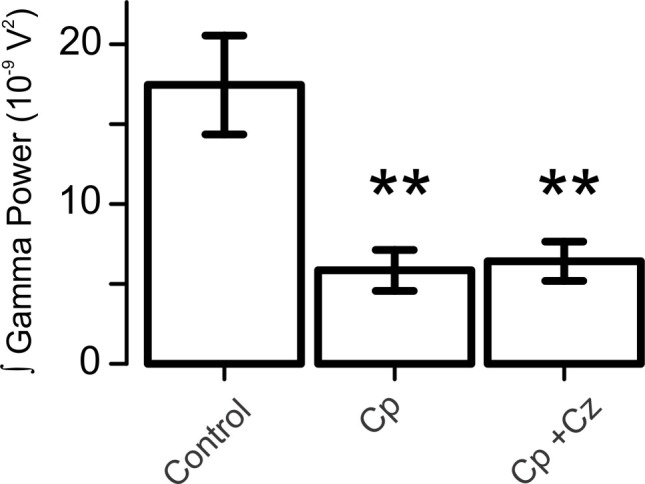 Figure 1—figure supplement 1.