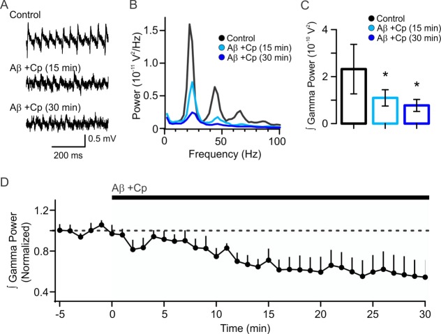 Figure 4—figure supplement 1.