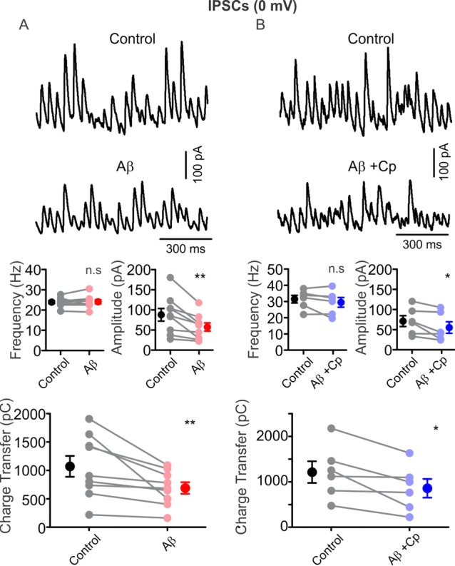 Figure 5—figure supplement 1.