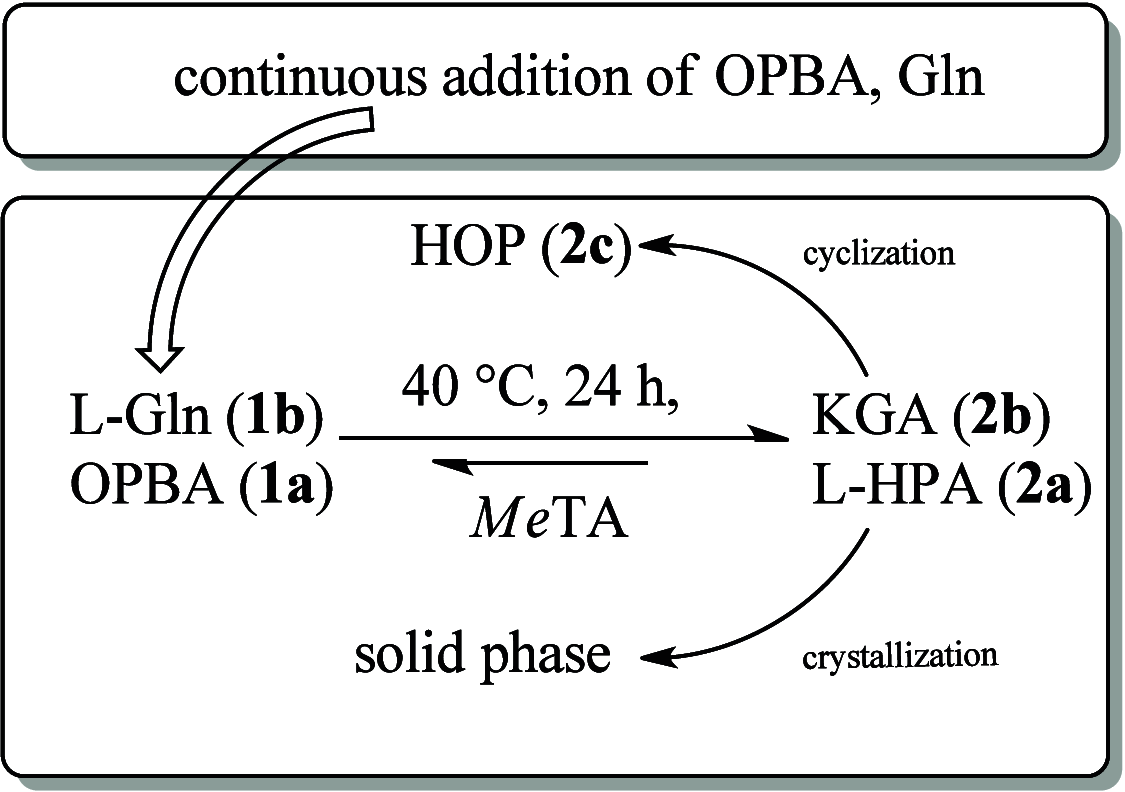 Scheme 3