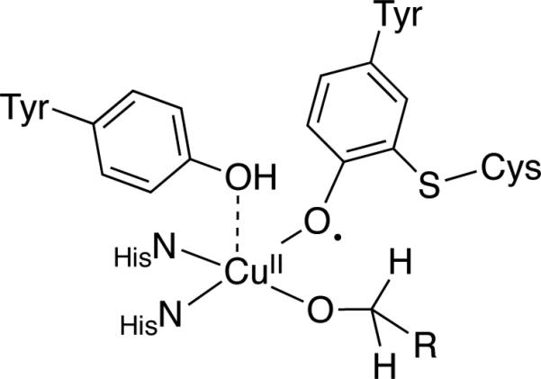 Scheme 18