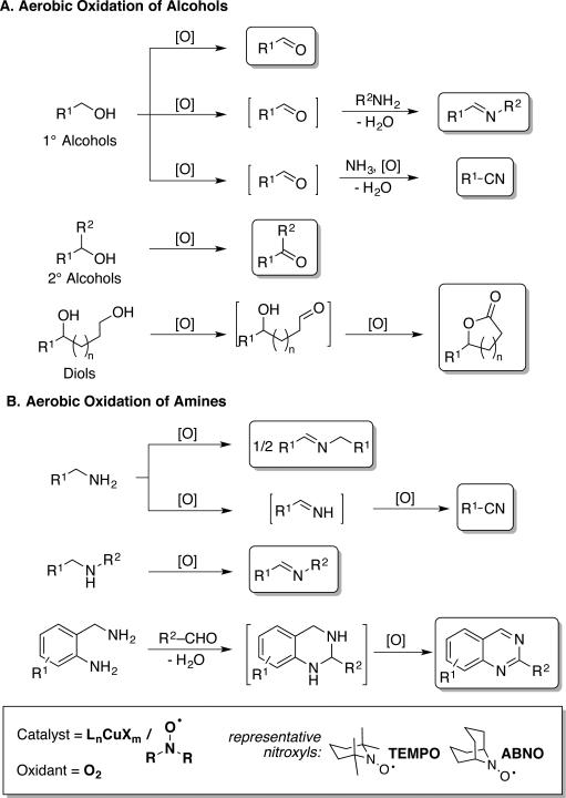 Scheme 2