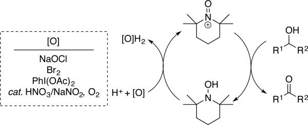 Scheme 4