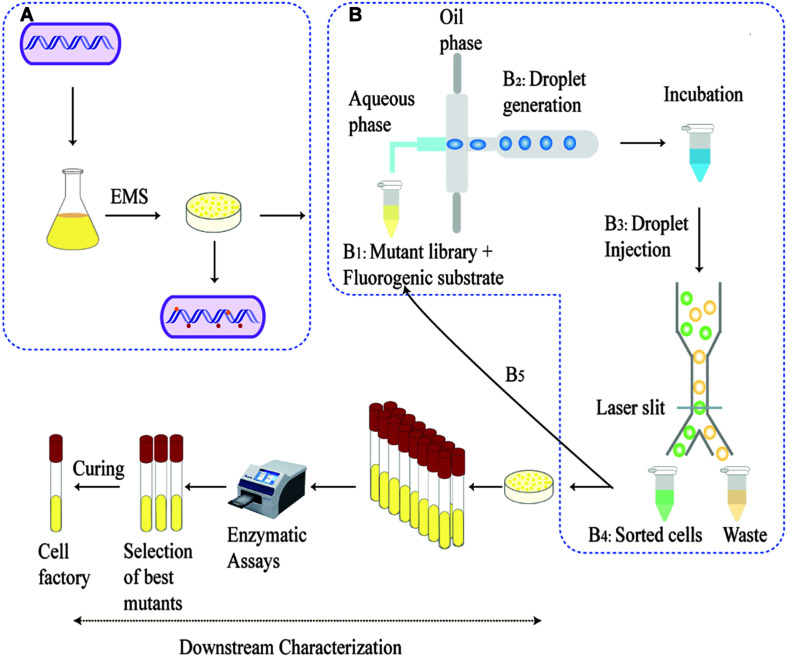 FIGURE 2