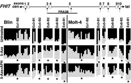 Figure 5.