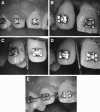 Fig. 4