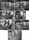 Fig. 3