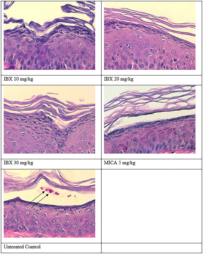 FIG 2