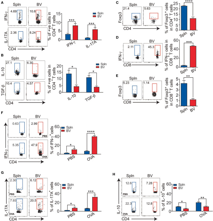 Figure 7