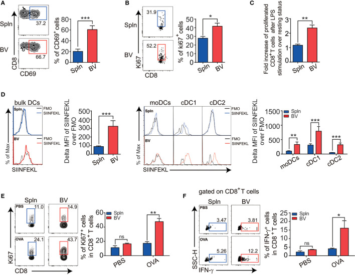 Figure 6