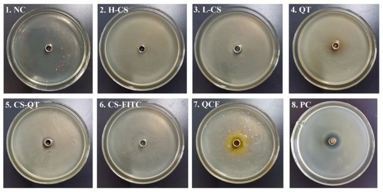 Figure 7