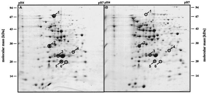 FIG. 6.