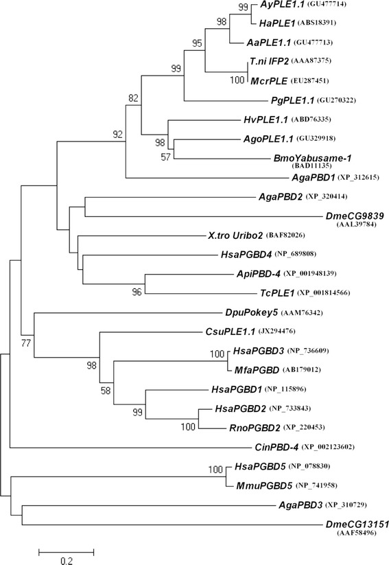 Figure 2