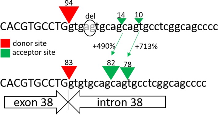 Fig. 2