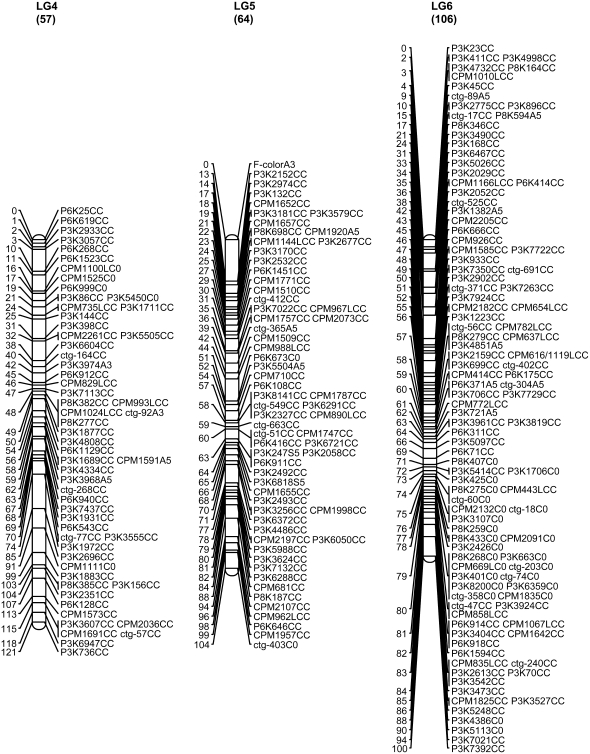 Figure 1.—