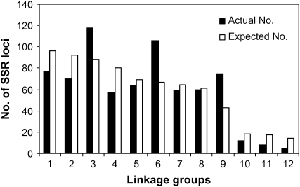 Figure 3.—