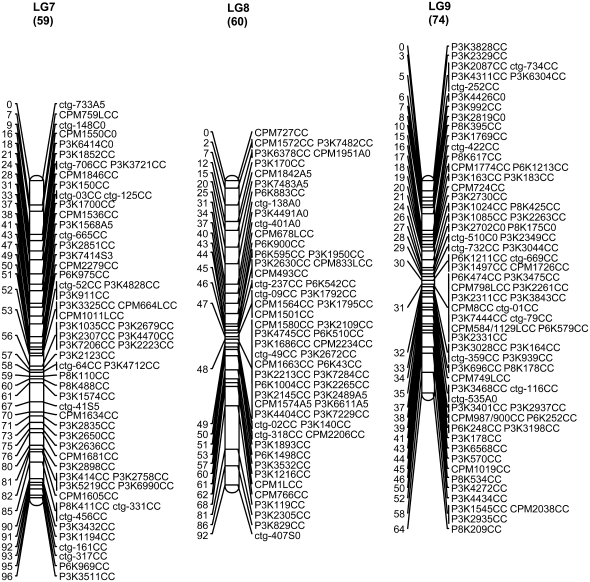 Figure 1.—