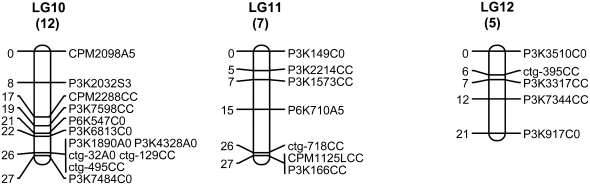 Figure 1.—