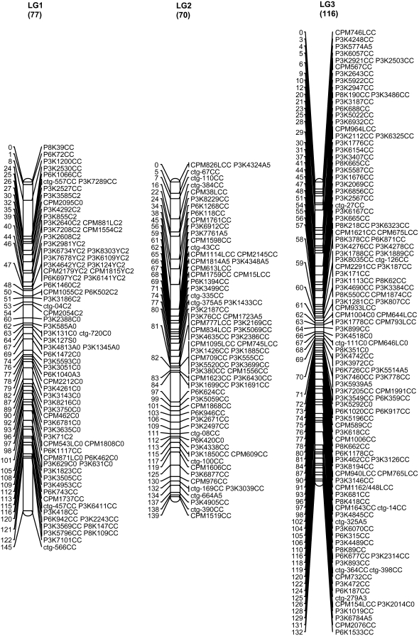 Figure 1.—